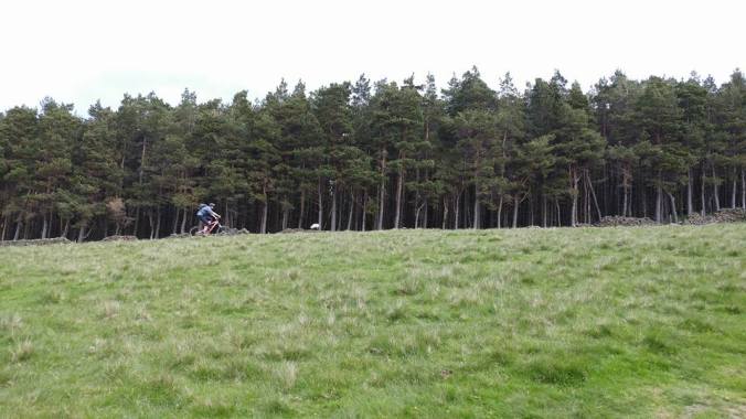 13307473_10154510564113455_1996267323965165969_n